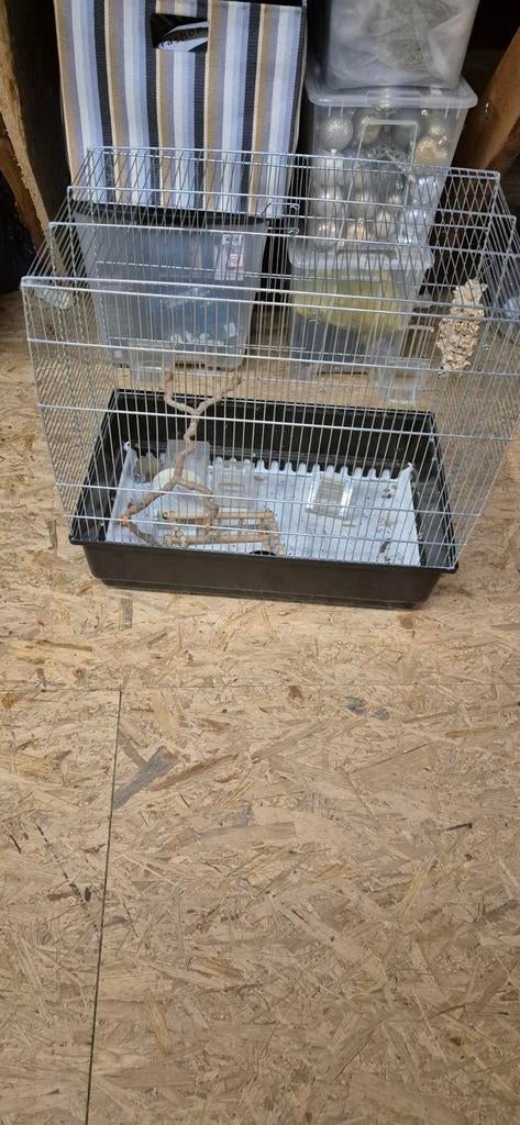 Cage, Animaux & Accessoires, Enlèvement
