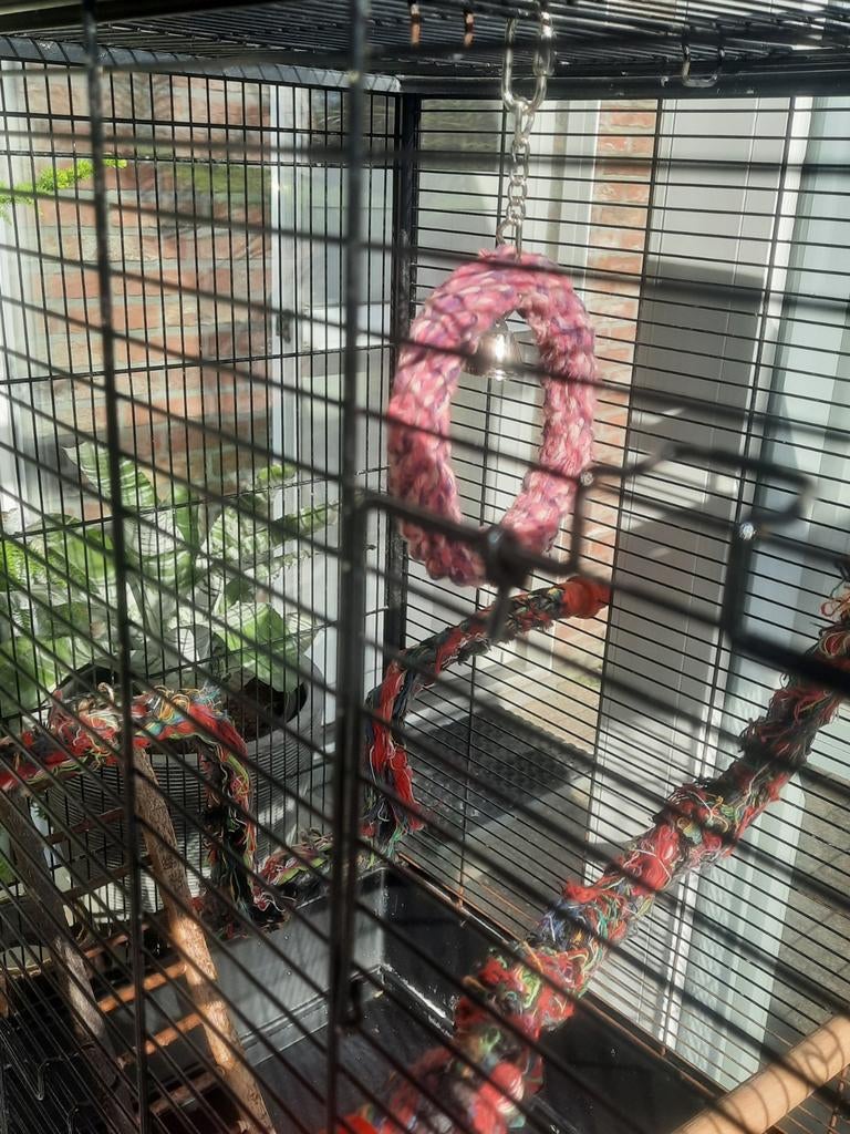 Belle cage décorative pour perruches ou autres oiseaux, Enlèvement