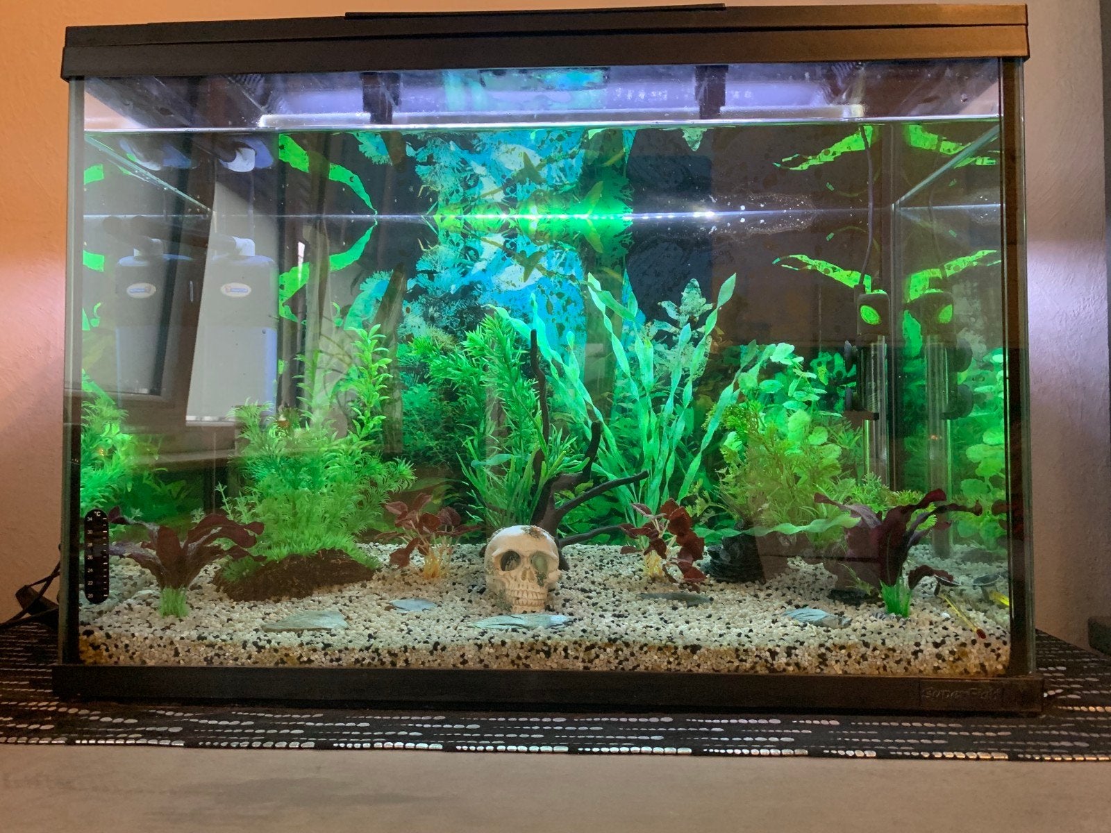 aquarium 80l, Dieren en Toebehoren, Ophalen, Decoratie