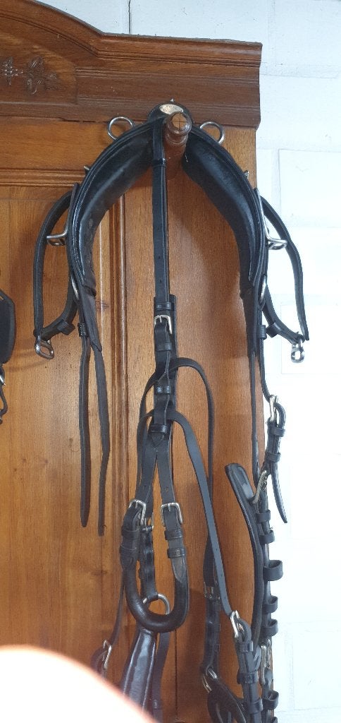 Enkelspan pony tuig, Ideal Equestrian, Rênes incluses, Noir, Comme neuf