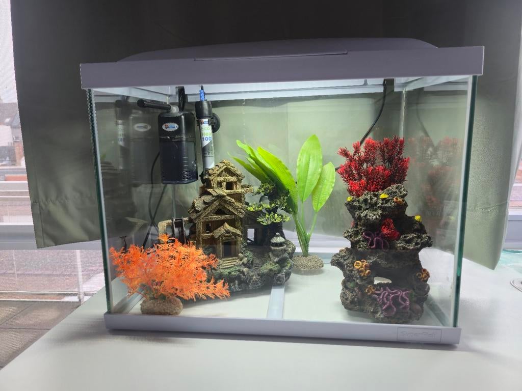 Superfish start 50 - met decoratie, Dieren en Toebehoren, Vissen | Aquaria en Toebehoren, Ophalen