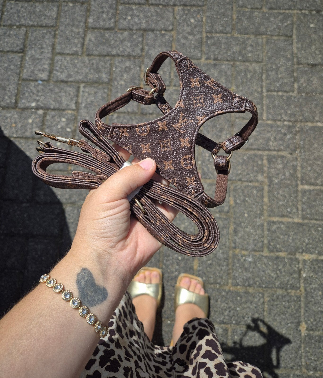 Harnais de luxe pour chien + ceinture