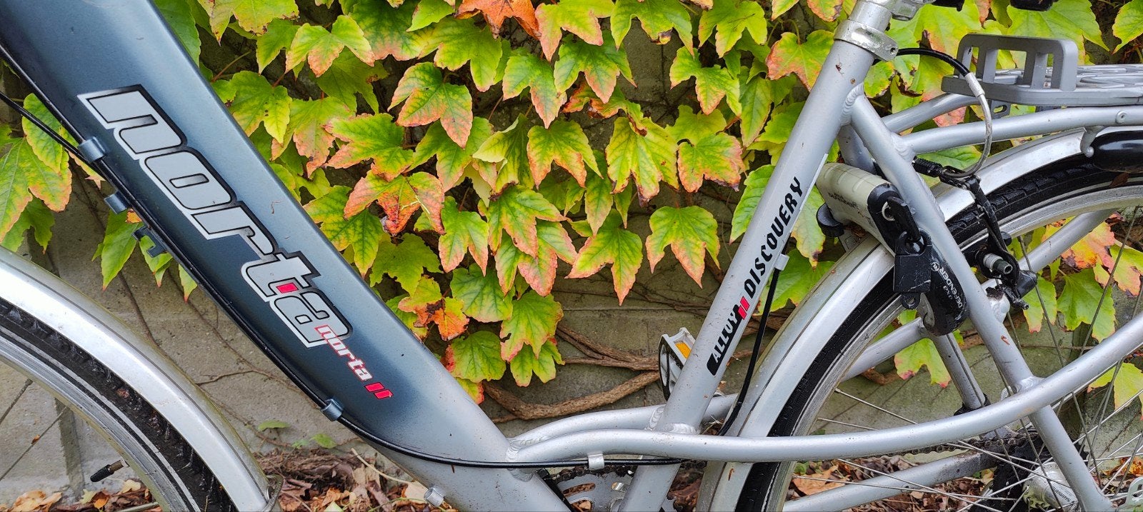 norta vrouwenfiets, Enlèvement
