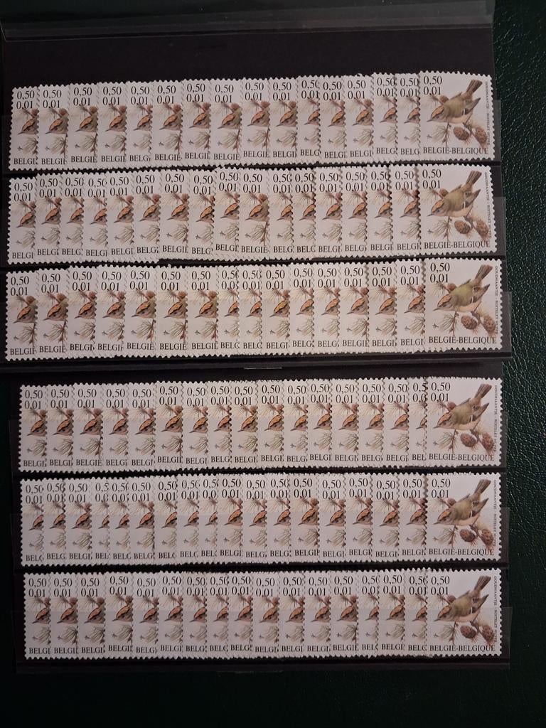 Buzin 2985* 100X 0,50 Br/€0,01 Goldcock, Sans timbre, Neuf, Non oblitéré, Art