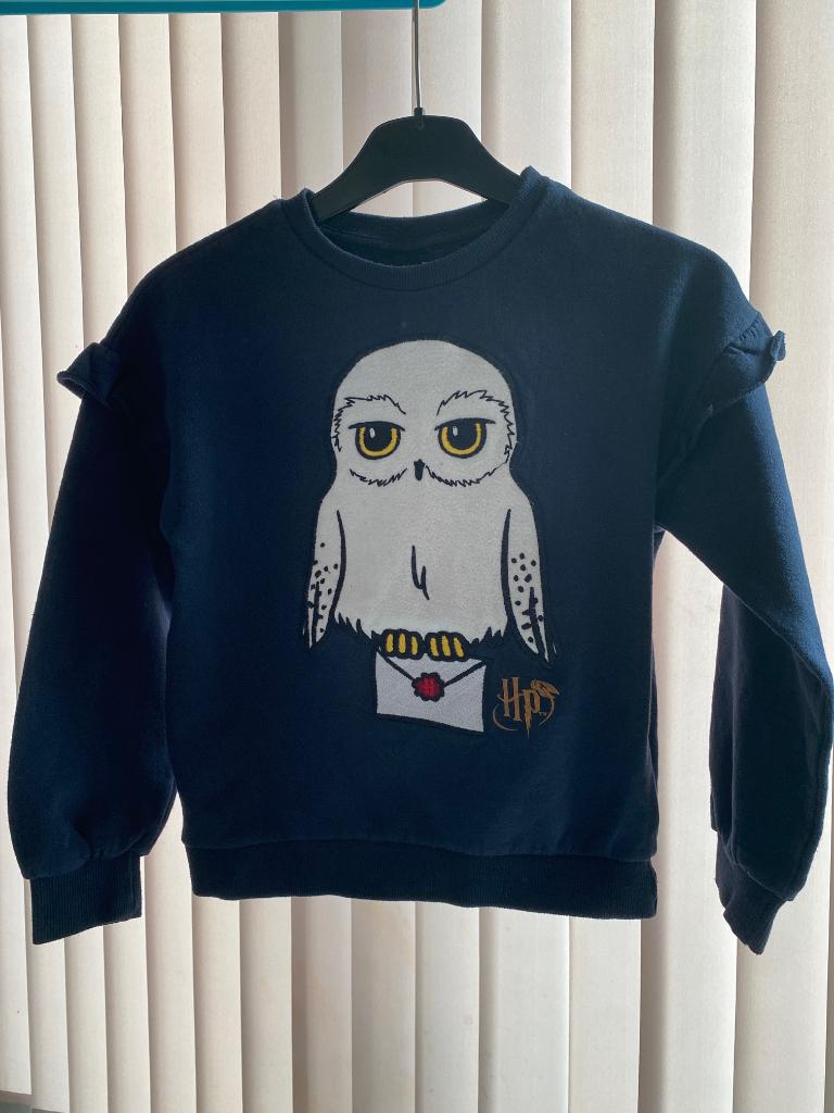 Pull Harry Potter en forme hibou bleu foncé - 10 ans/138-143, Kiabi, Enlèvement ou Envoi, Pull ou Veste, Utilisé