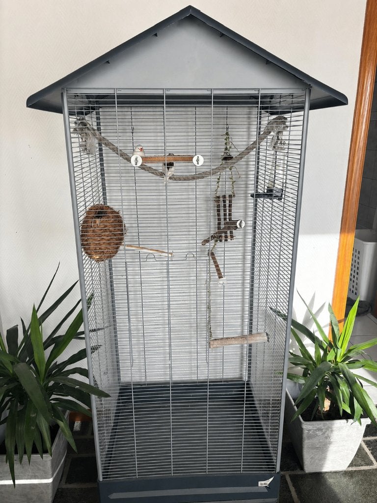 Vogelkooi met koppel zebra vinken, Enlèvement, Utilisé, Cage à oiseaux