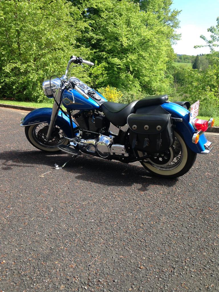Harley Softail Heritage, Motoren, Particulier