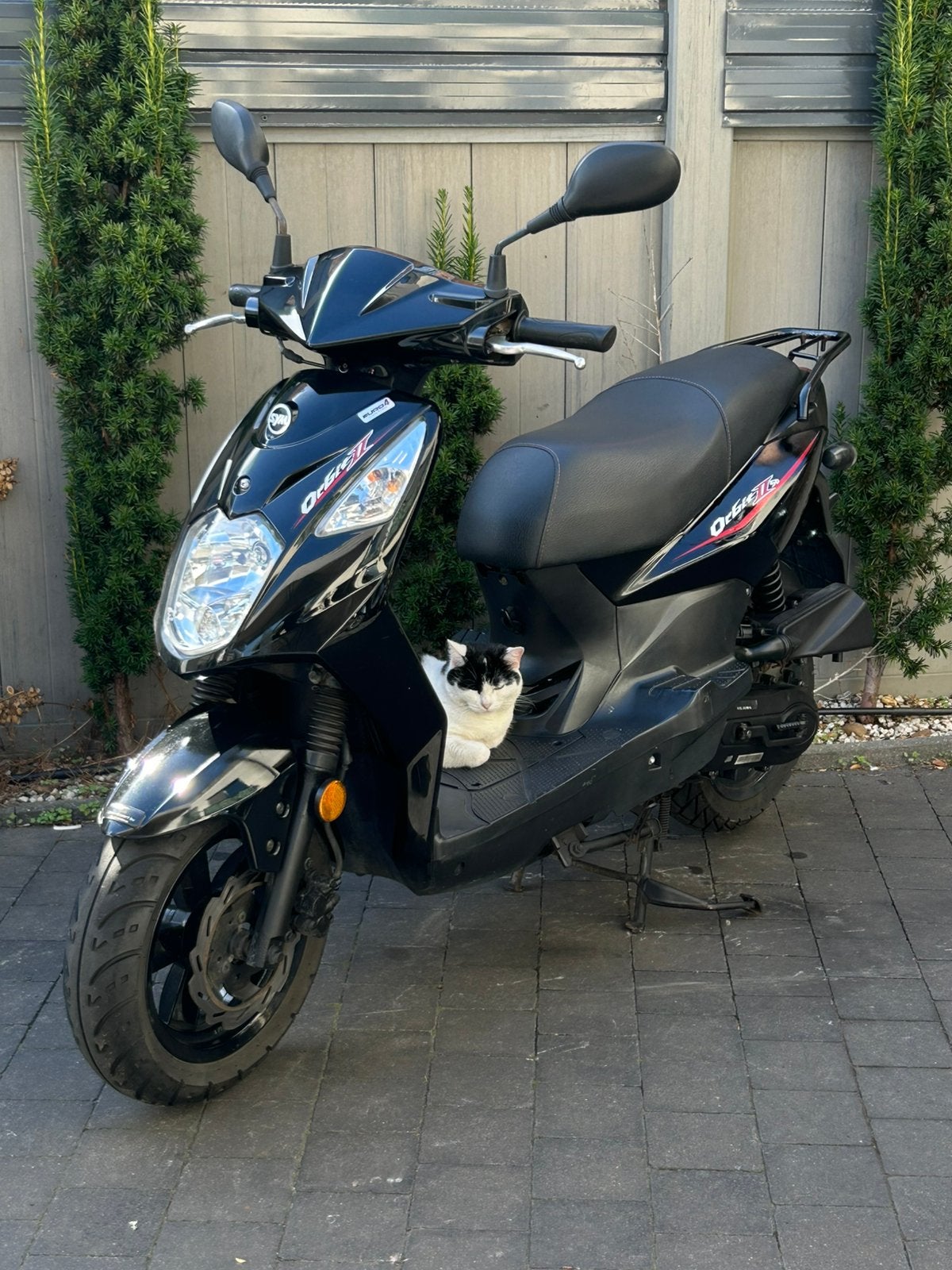Sym Orbit2 | A Klasse | Bj2020 | 5.665km | E4 | Sport Line, Fietsen en Brommers, Scooters | SYM, Sym, Orbit2, Klasse A (25 km/u)