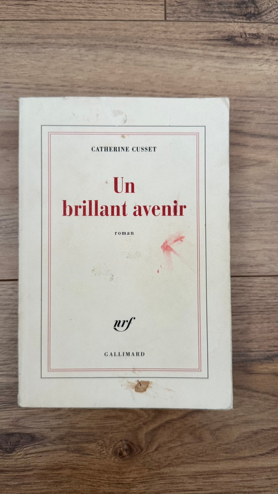 Un brillant avenir - Catherine Cusset, Boeken, Ophalen of Verzenden, Gelezen