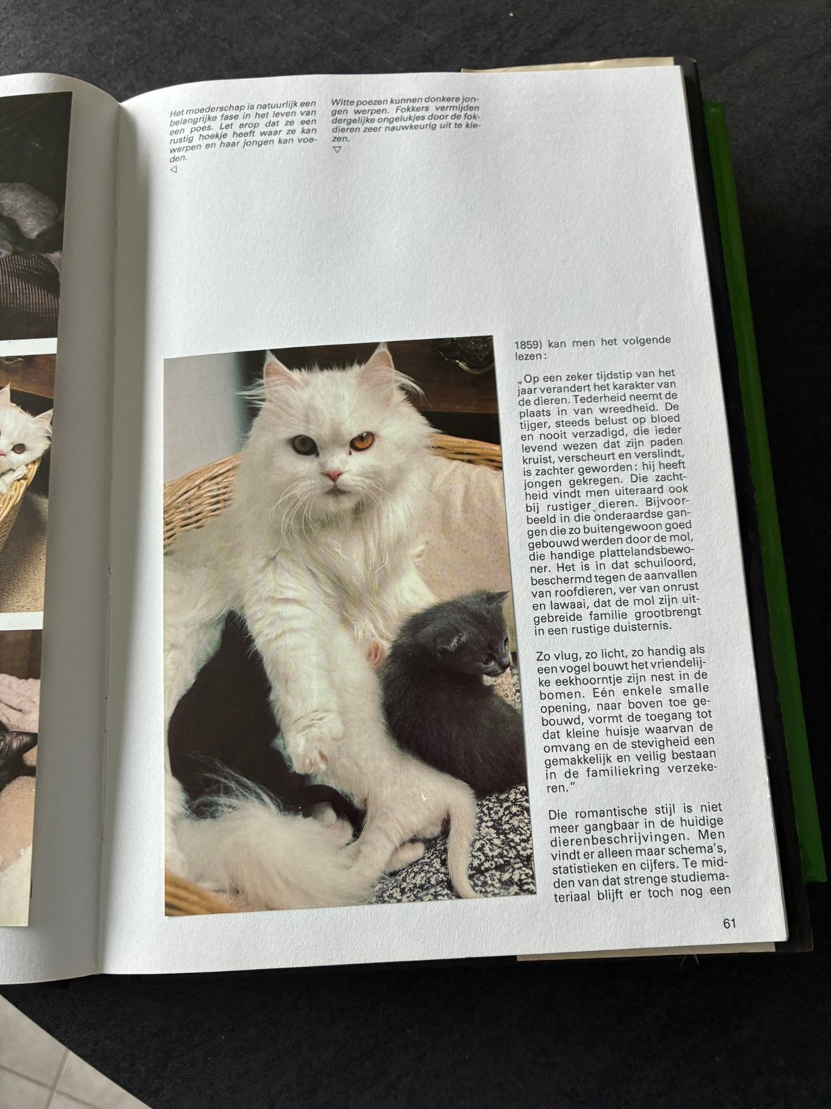 Katten boeken, Boeken, Ophalen, Zo goed als nieuw, Katten