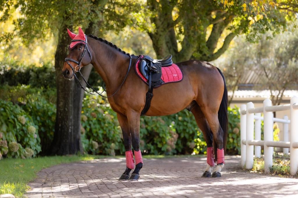LeMieux Loire Cranberry Spring CC dekje SALE -45%!, Full (L), Nieuw, Ophalen of Verzenden, UV-werend