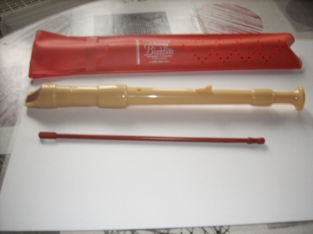 Flute de marque HOHNER, Musique & Instruments, Instruments à vent | Flûtes à bec, Enlèvement, Comme neuf, Avec valise, étui ou housse