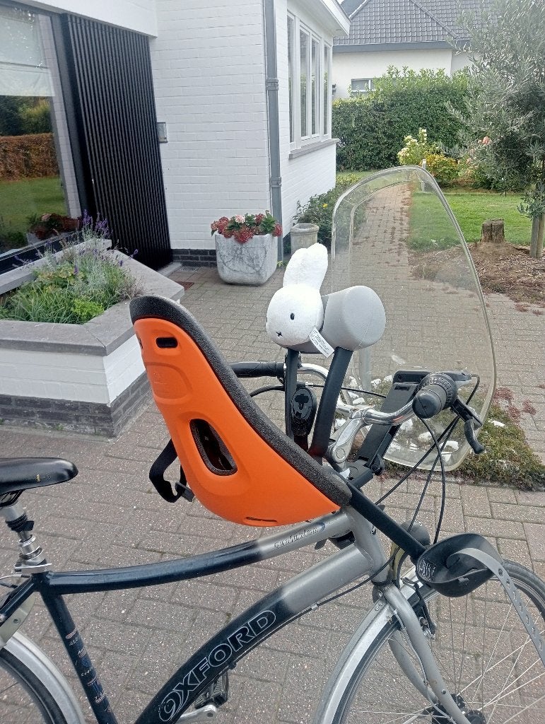 fietsstoeltje, Fietsen en Brommers, Ophalen, Voetsteuntjes, Zo goed als nieuw, Thule Yepp