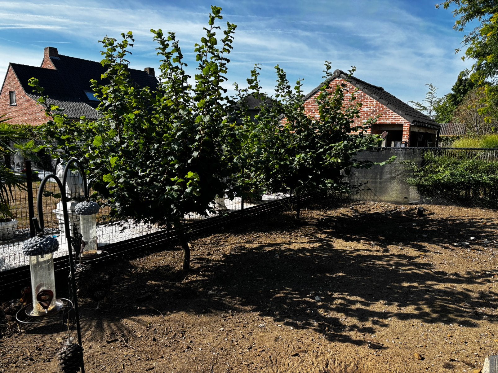 Zwarte zand, Jardin & Terrasse, Sable, Enlèvement