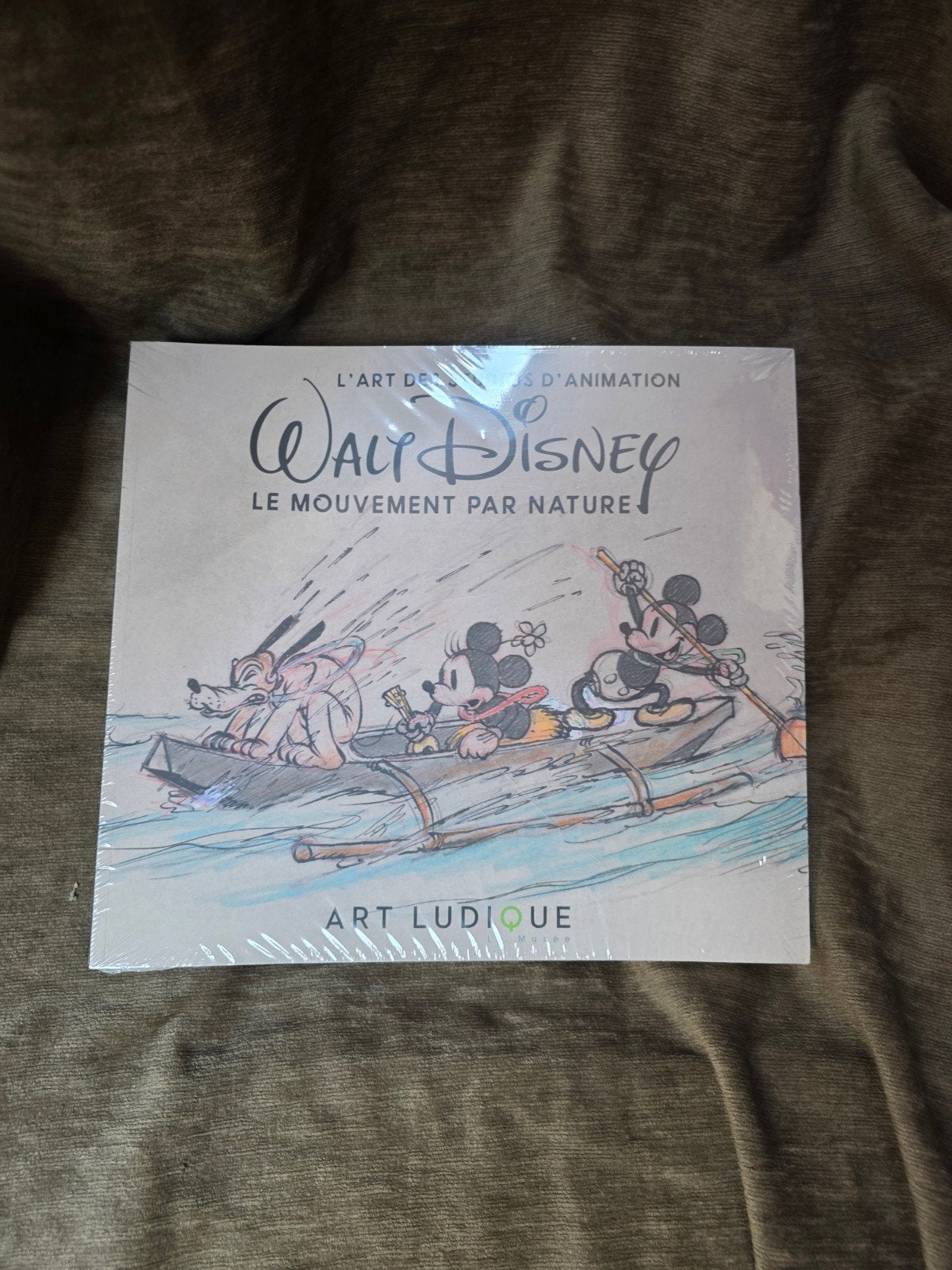 Walt Disney, de beweging van nature, Ophalen of Verzenden