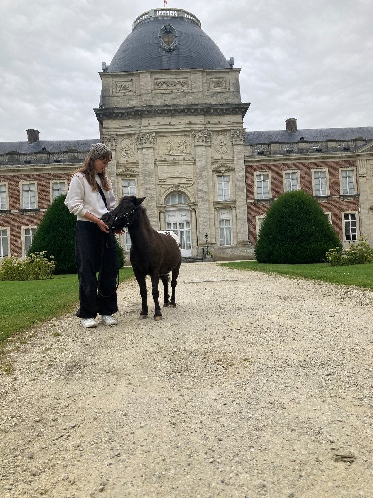 Verzorgpony/-paard gezocht, Animaux & Accessoires, Chevaux & Poneys | Autres trucs de cheval, Enlèvement ou Envoi