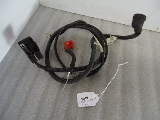 CBF125 2013 - 2014 Honda Kabelboom D1-16914