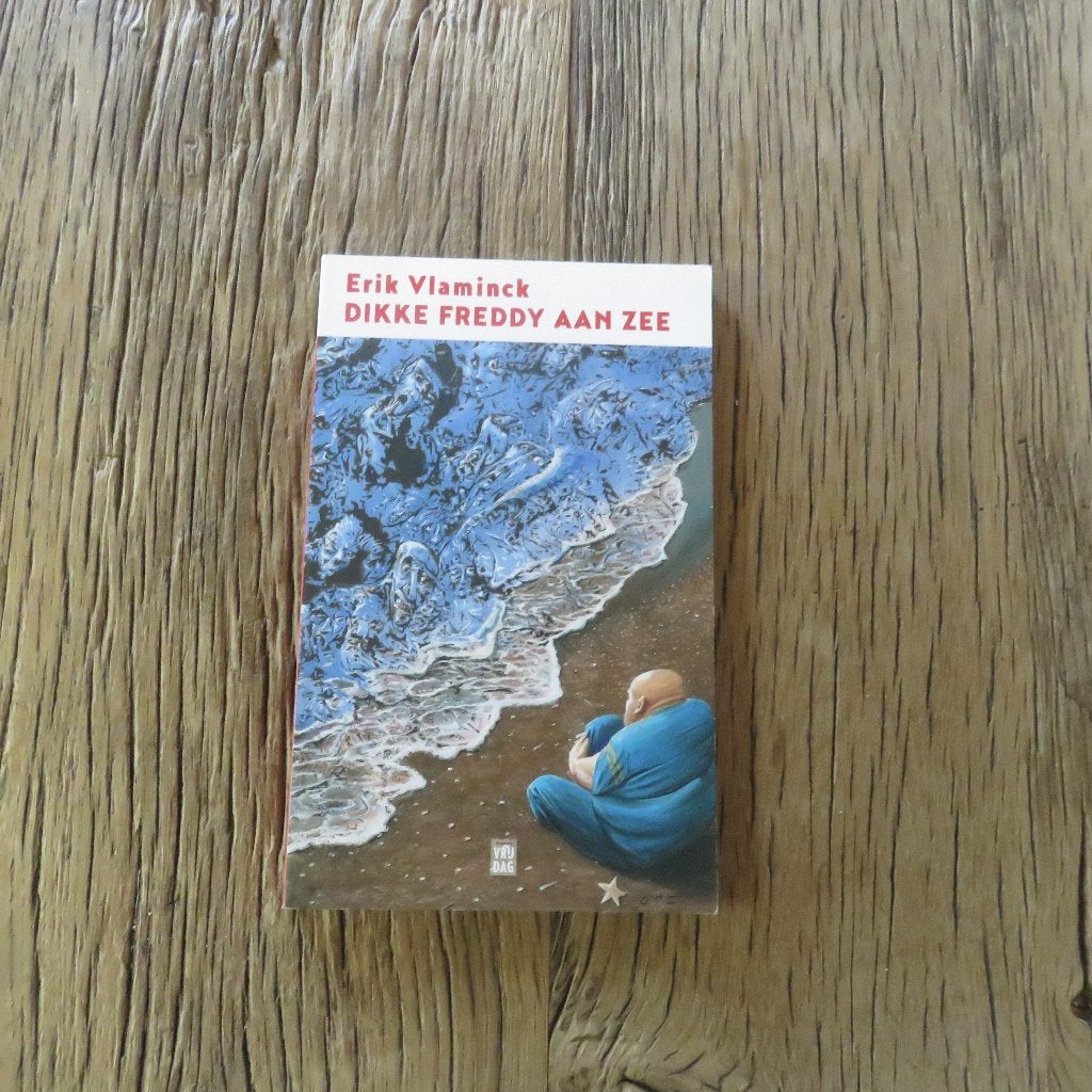 Erik Vlaminck Dikke Freddy aan zee, Boeken, Ophalen of Verzenden