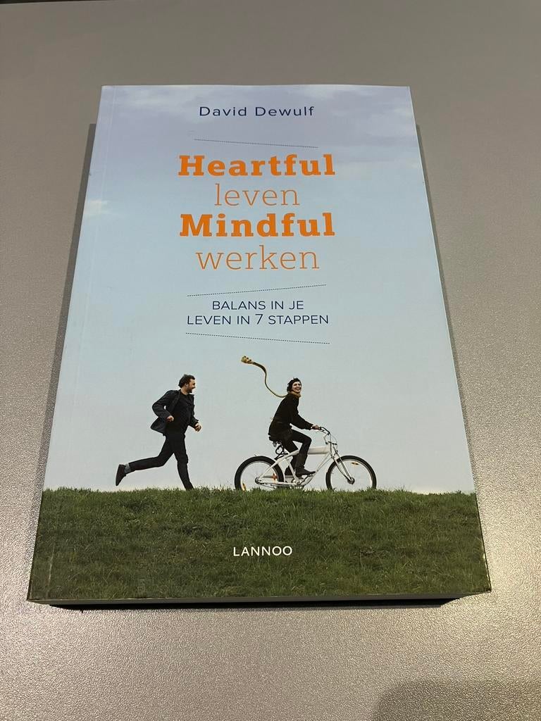 Boek Mindfulness, Ophalen of Verzenden, Zo goed als nieuw