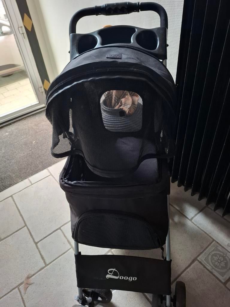 Poussette pour chien