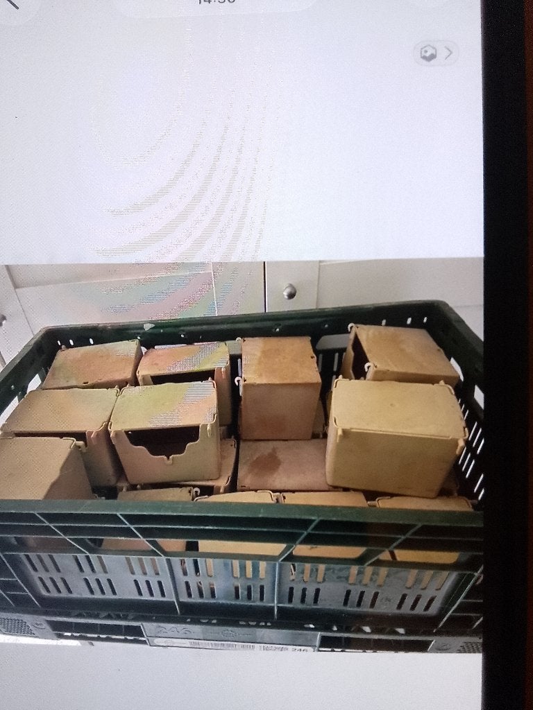Plastieke nestjes, Enlèvement