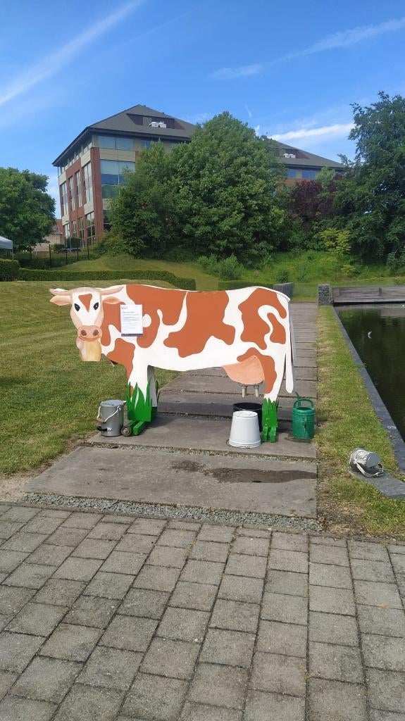 Levensgrote koe om te melken, Ophalen of Verzenden, Gebruikt, Ontdekken