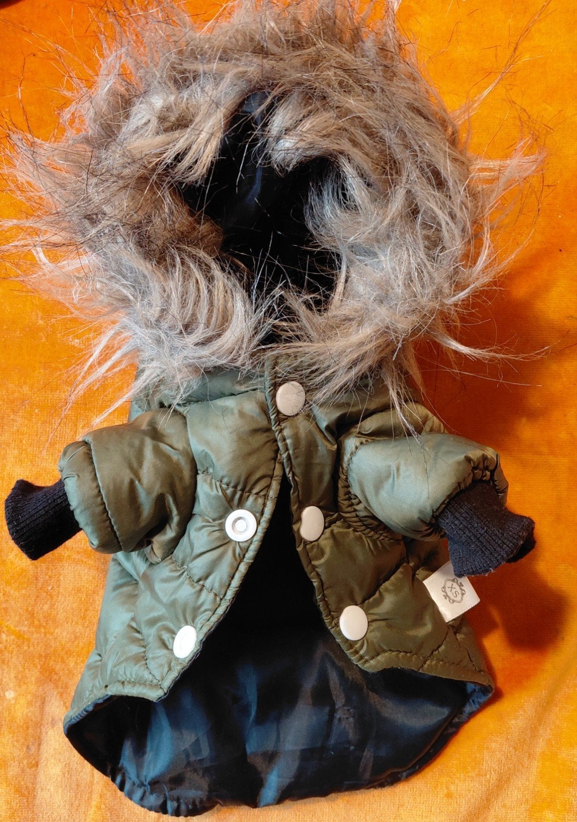 Manteau d'hiver Cool Army vert pour chien avec col en fourru, Enlèvement ou Envoi, XS, Autres marques, Utilisé
