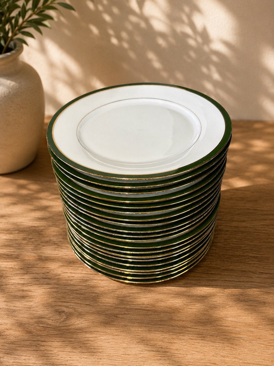 Elegante Franse Limoges borden (20 stuks), Ophalen