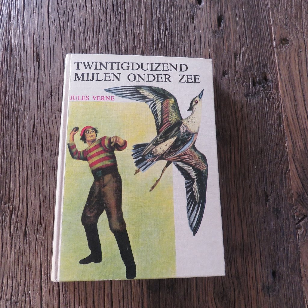 Jules Verne Twintigduizend mijlen onder zee, Boeken, Ophalen of Verzenden