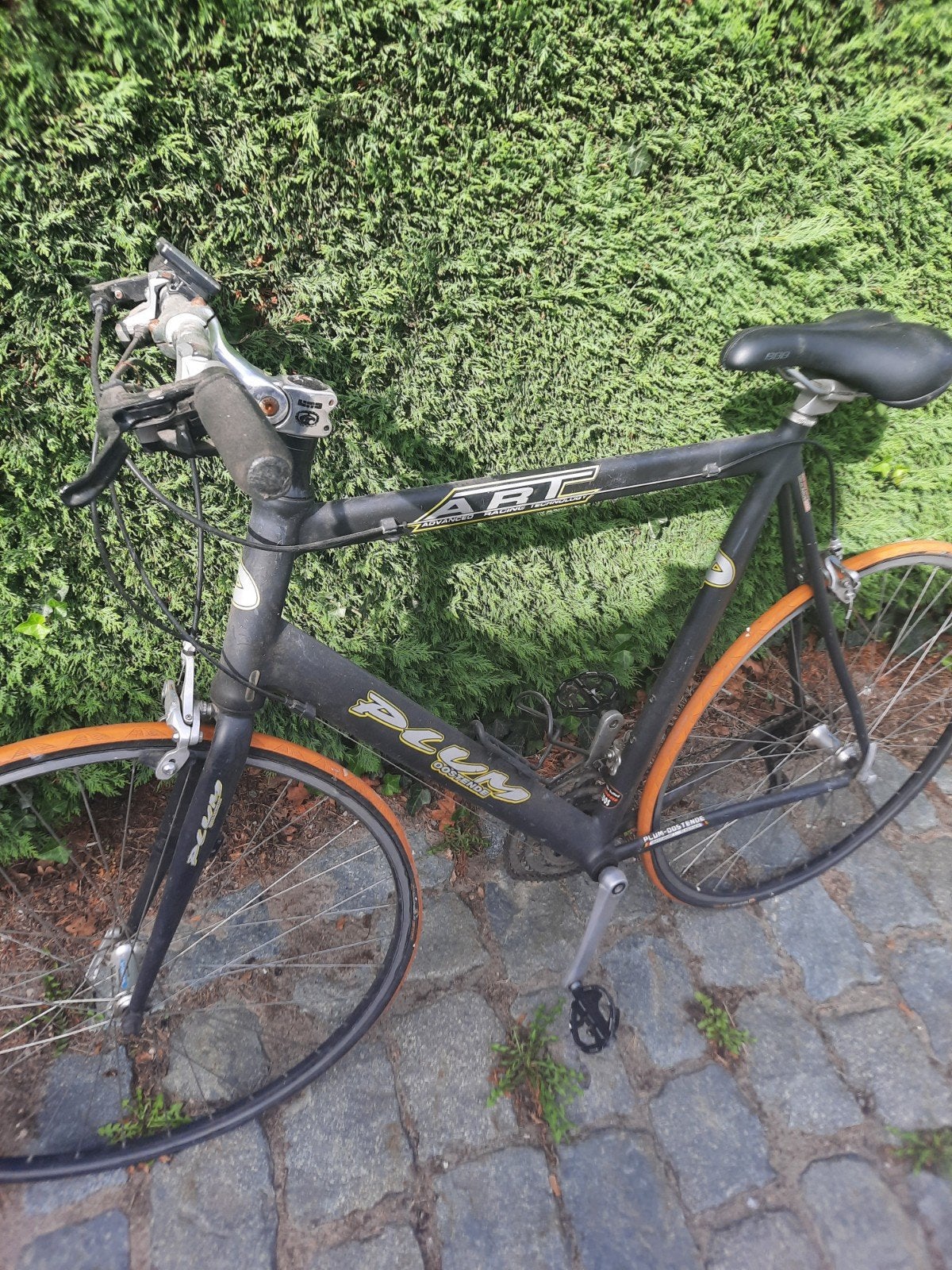 Herenfiets., Fietsen en Brommers, Ophalen