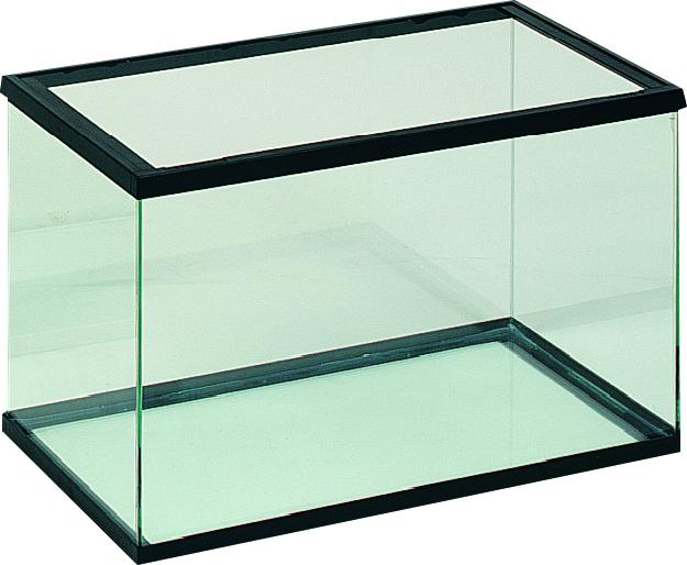 AQUARIUM GEZOCHT, Ophalen