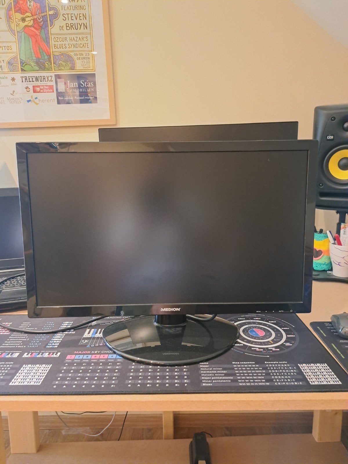 monitor medion 24 inch, Computers en Software, Monitoren, Ingebouwde speakers, LED, HD, Ophalen