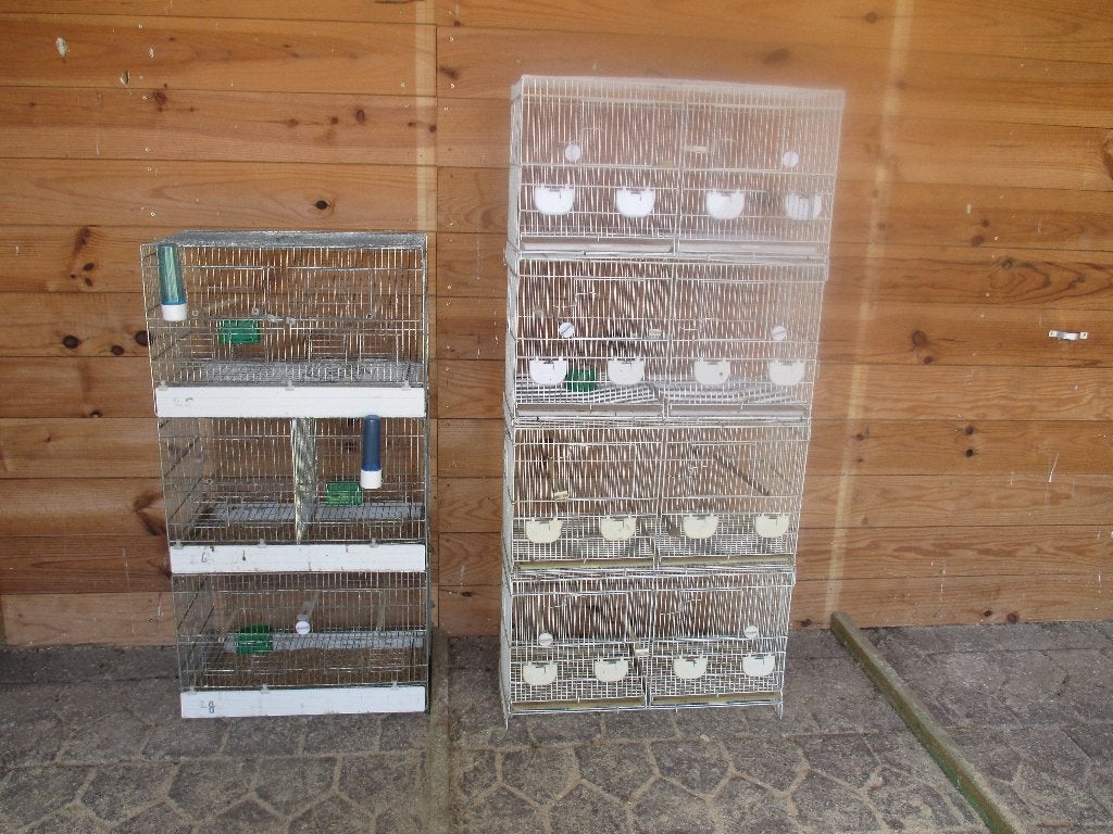kweekkooien vogels draadkooien, Ophalen, Zo goed als nieuw