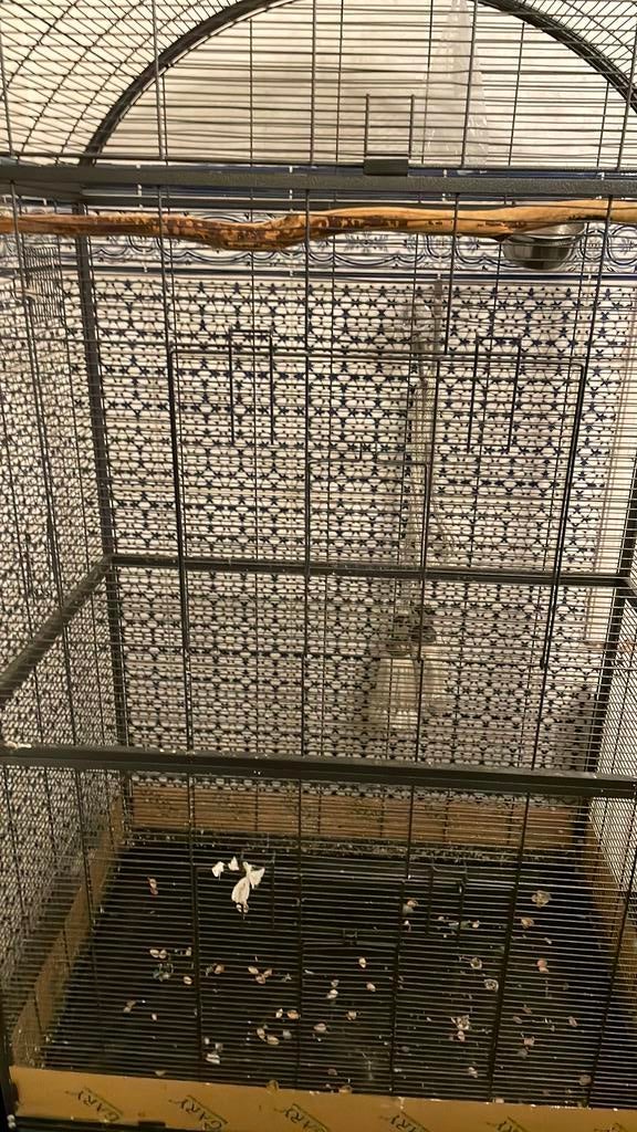 A vendre, Enlèvement, Utilisé