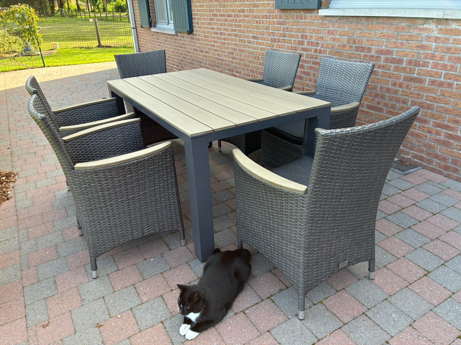 Terrastafel met 6 stoelen + 6 nieuwe kussens, Tuin en Terras, Ophalen