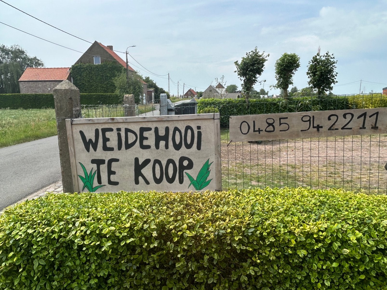 Weidehooi kleine baaltjes 5€/stuk, Ophalen, Nieuw