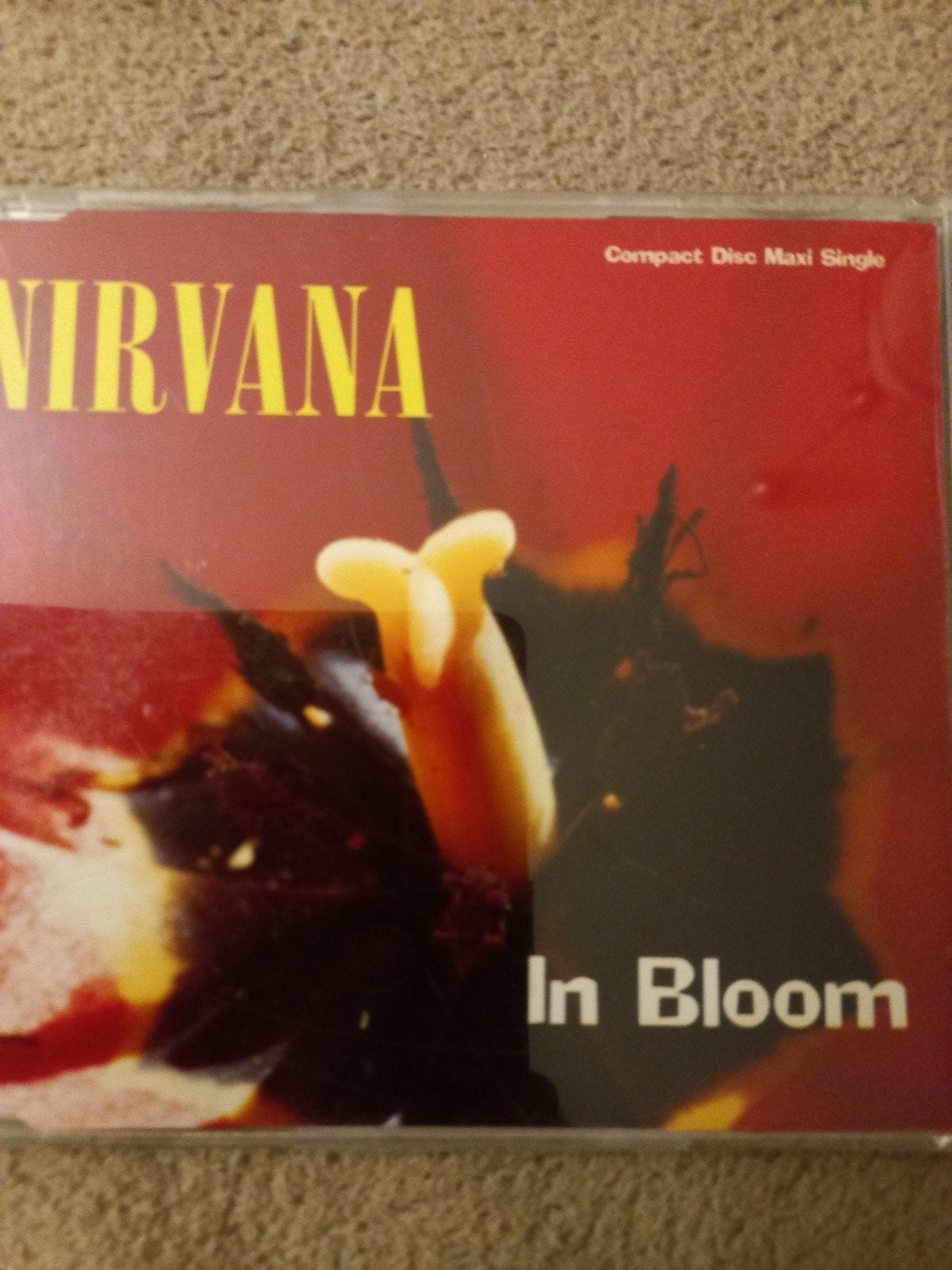 Nirvana  in bloom, Ophalen of Verzenden