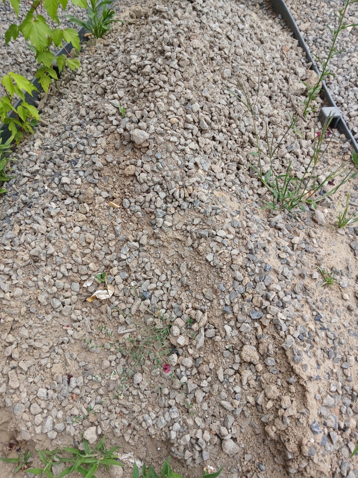 mix gravier/terre, Jardin & Terrasse, Gravier, Rochers & Caillasse, Enlèvement, Gravier