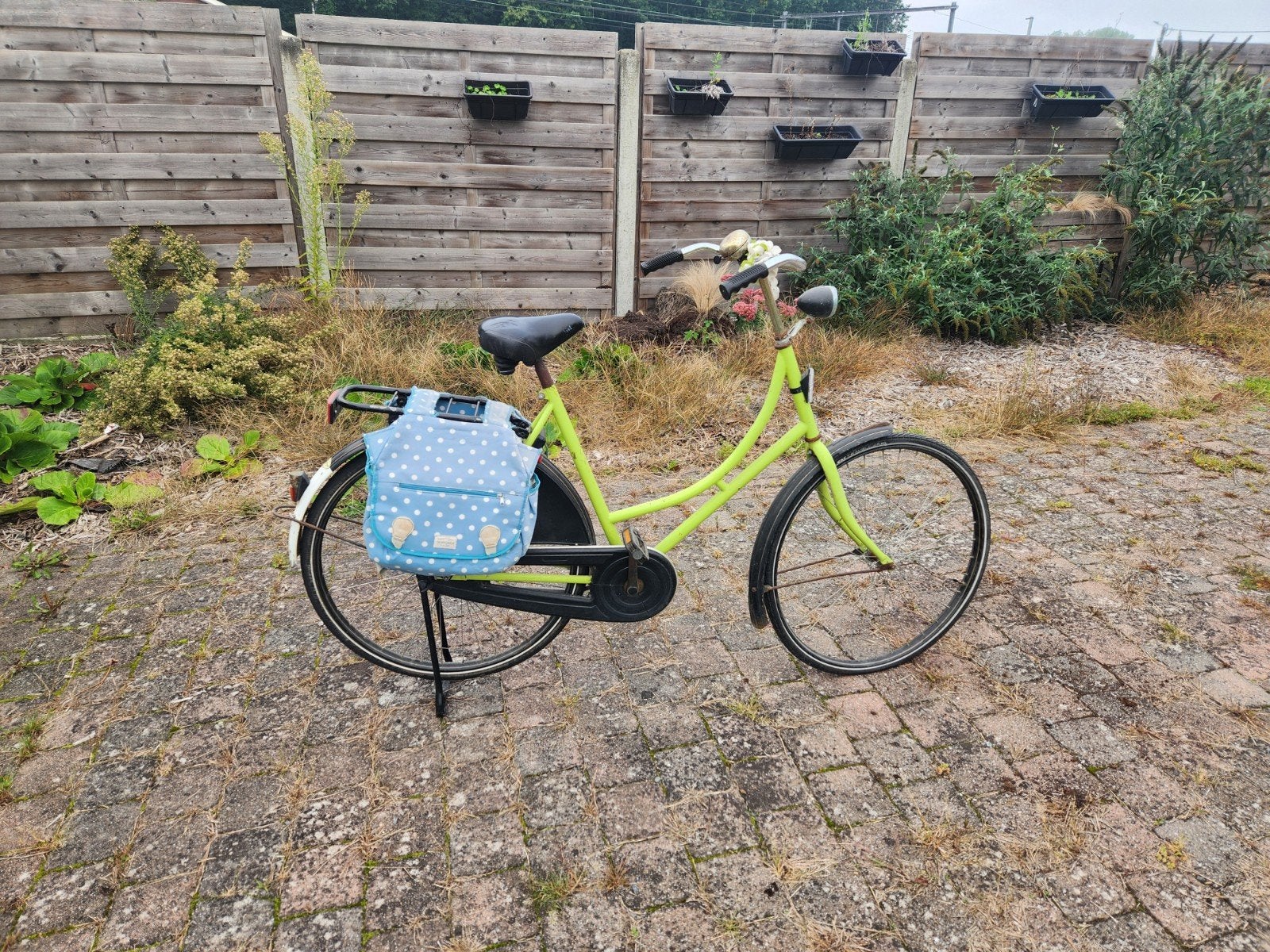 Dames fiets lente groen, Fietsen en Brommers, Ophalen, Gebruikt, Terugtraprem
