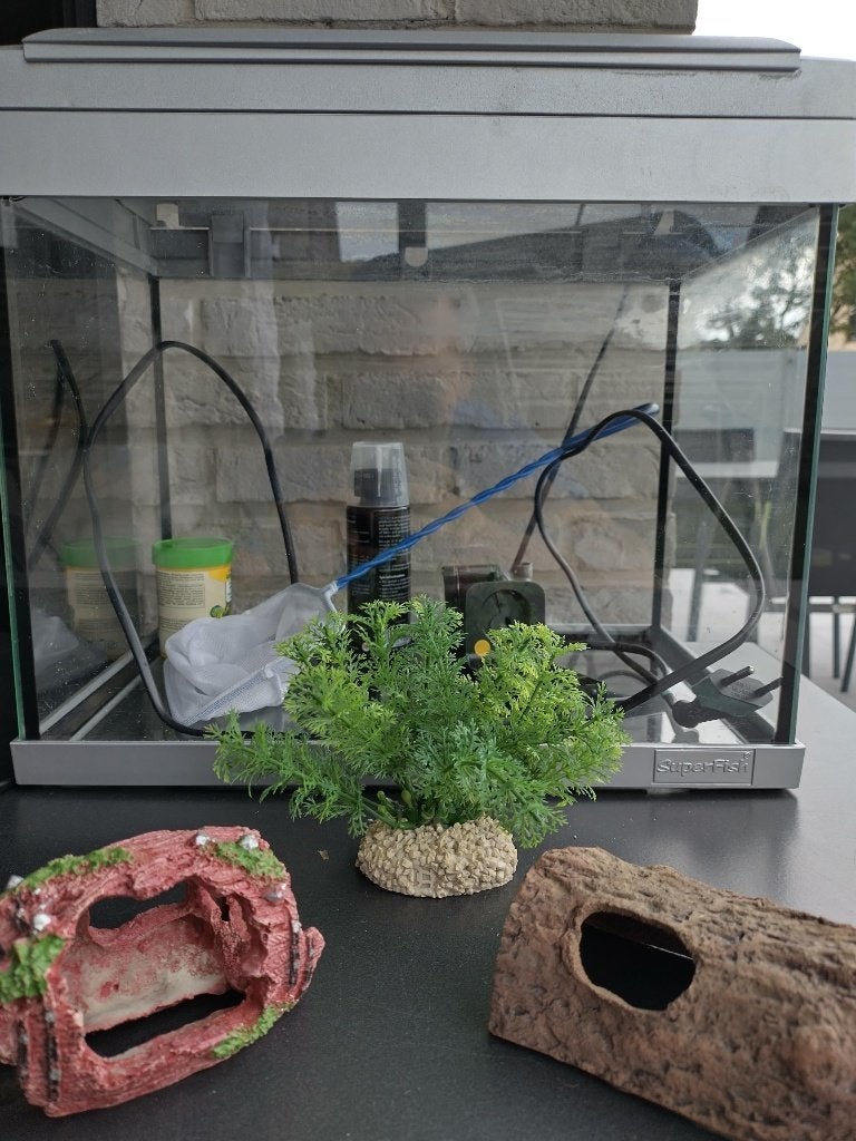 Aquarium (kleinere vissen), Ophalen, Filter