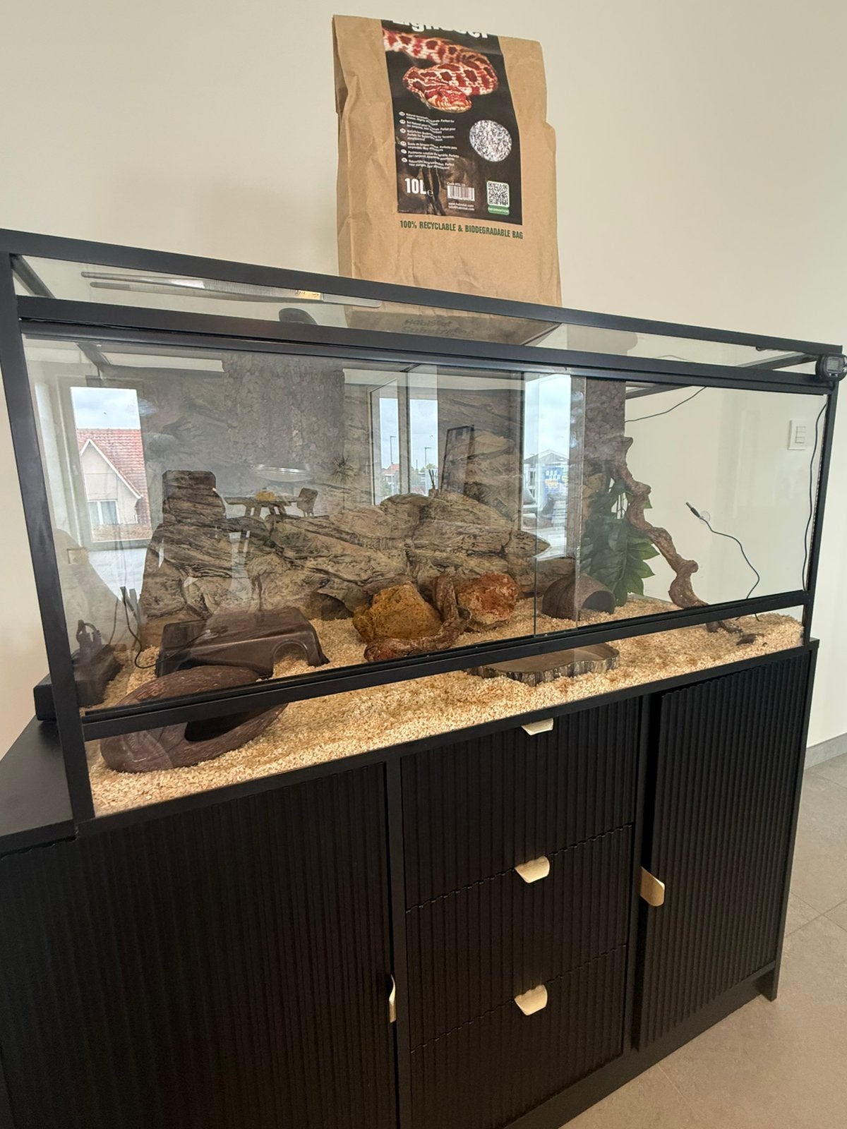 Terrarium met volledige inrichting, Dieren en Toebehoren, Ophalen of Verzenden, Zo goed als nieuw