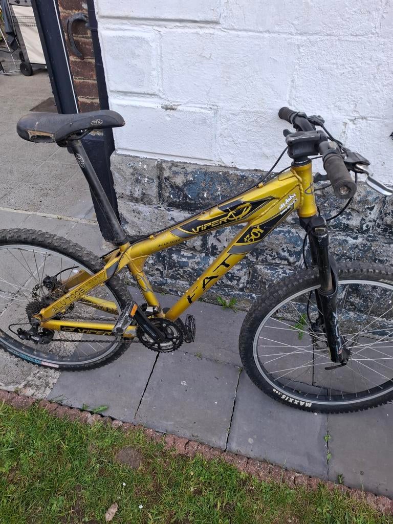 Vélo viper a remettre en état, Fietsen en Brommers, Ophalen