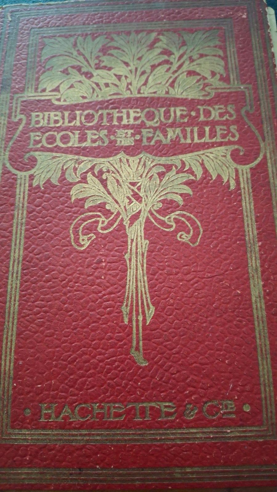 livre de magie et différentes activites, Enlèvement