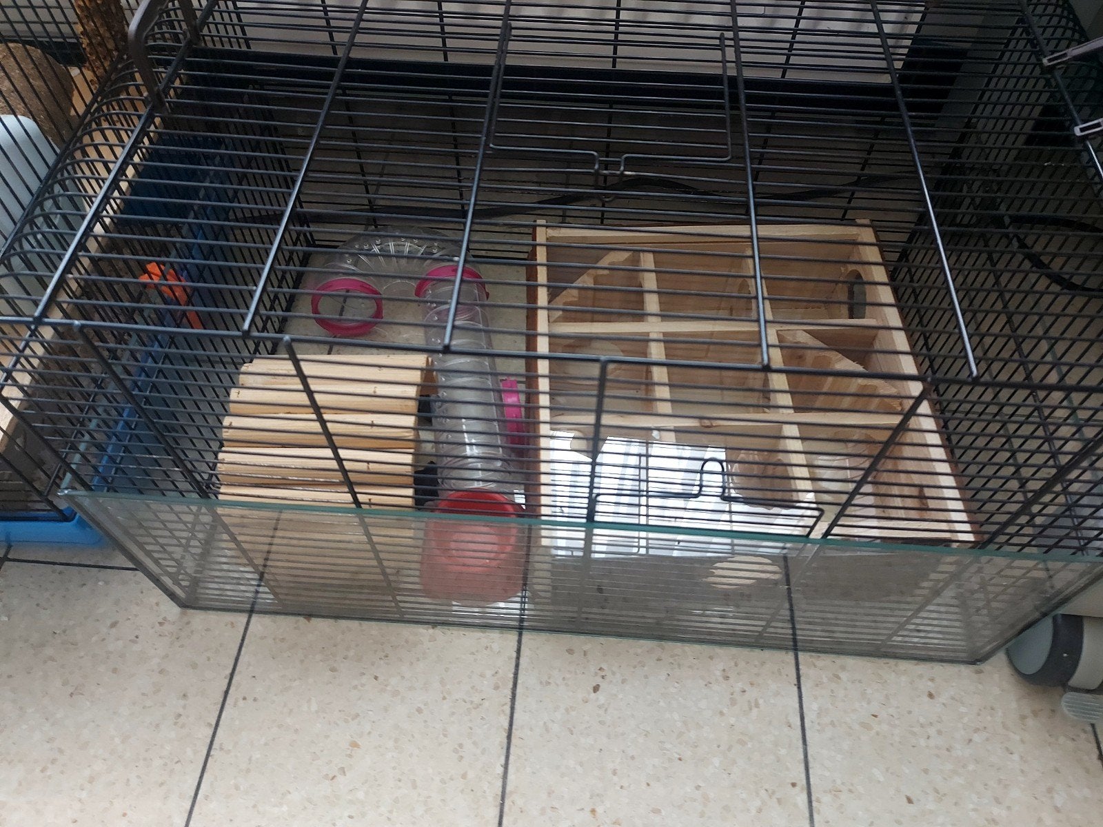 hamsterkooi, Enlèvement