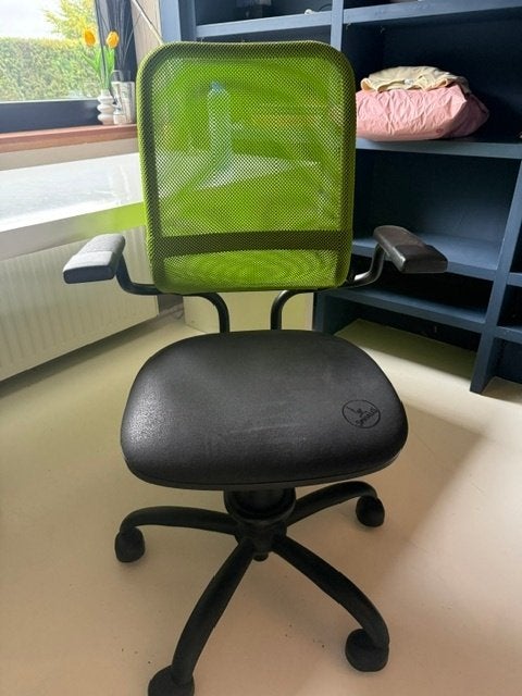 Fauteuil de bureau ergonomique Spinalis, Maison & Meubles, Utilisé, Chaise de bureau, Ergonomique, Vert