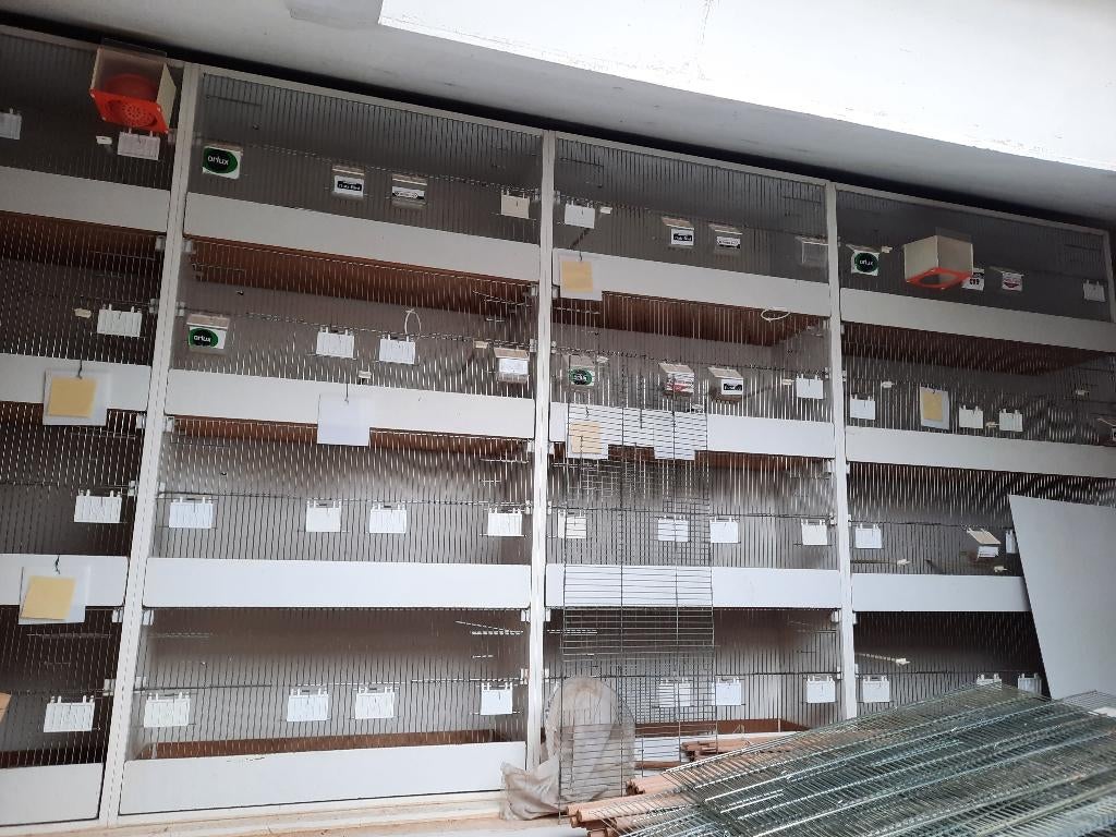 vogel kooien, Animaux & Accessoires, Enlèvement, Comme neuf, Bois, Cage d'élevage