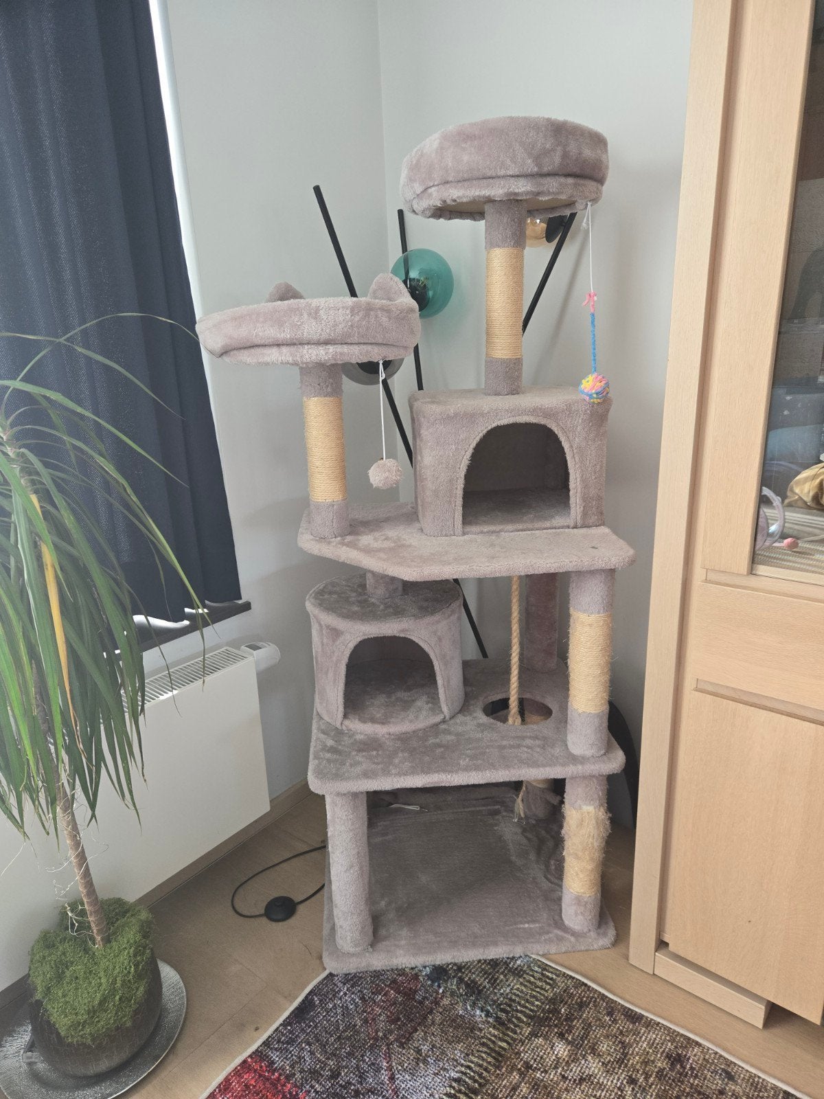 Arbre à chat
