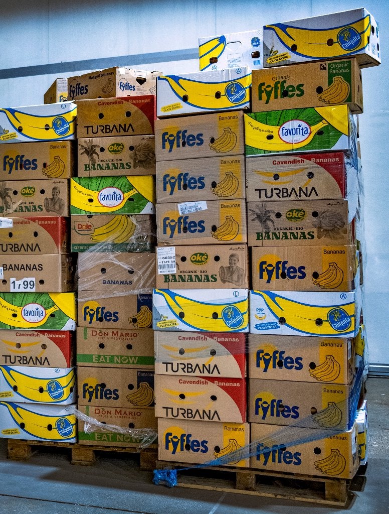 Lege bananendoos (per stuk), Doe-het-zelf en Bouw, Ophalen, 40 tot 60 cm, 50 tot 75 cm, Minder dan 35 cm