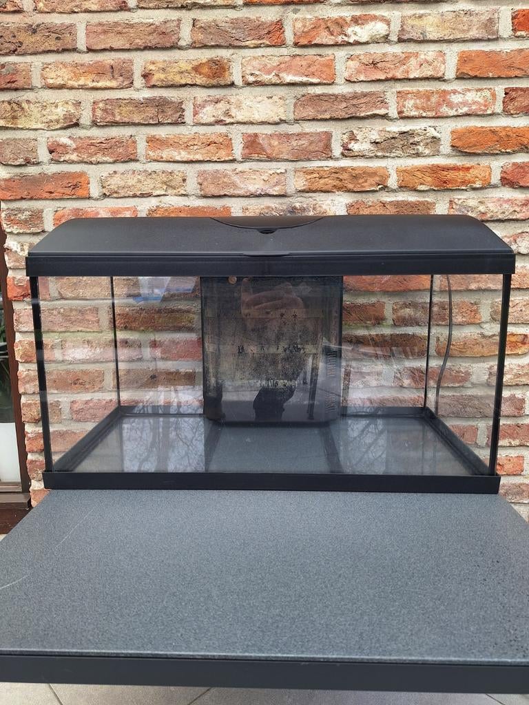 Aquarium cat-gato / 54 liter, Enlèvement