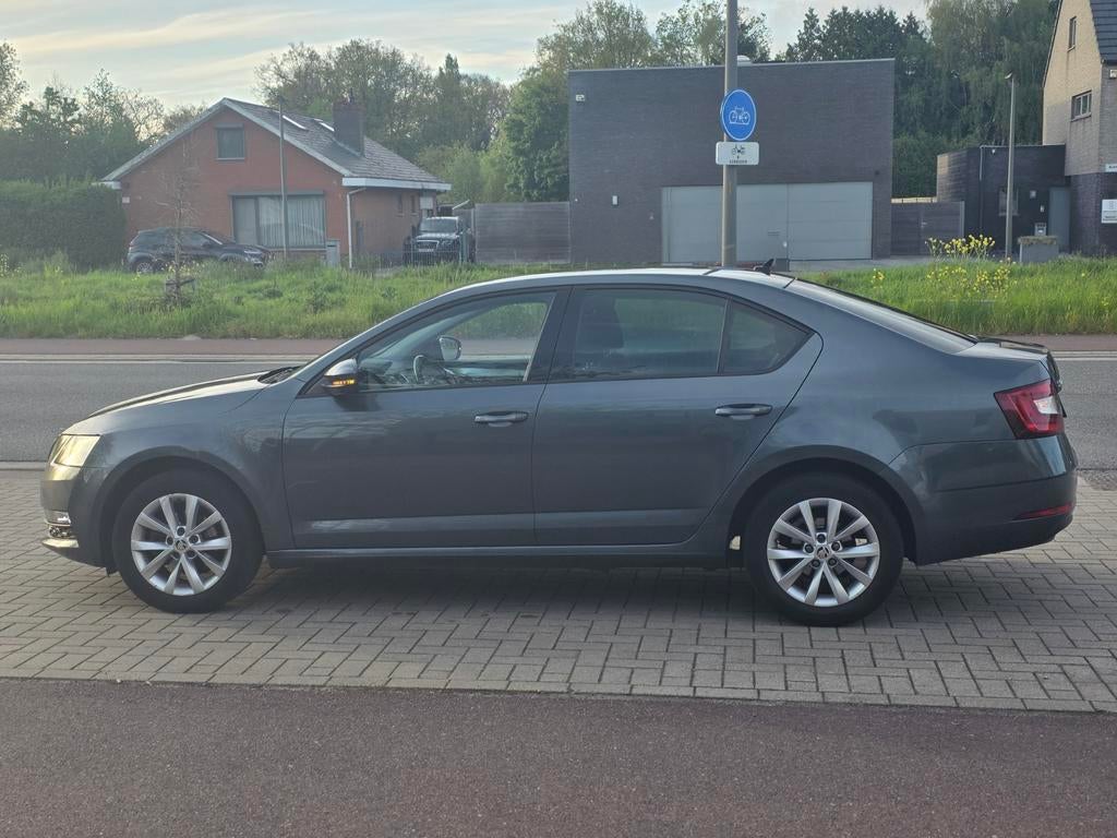 Skoda Octavia, 1.6 TDI 115 pk, Euro 6b, automaat, 2019, 150., Automaat, Bedrijf, Automatische klimaatregeling, Te koop